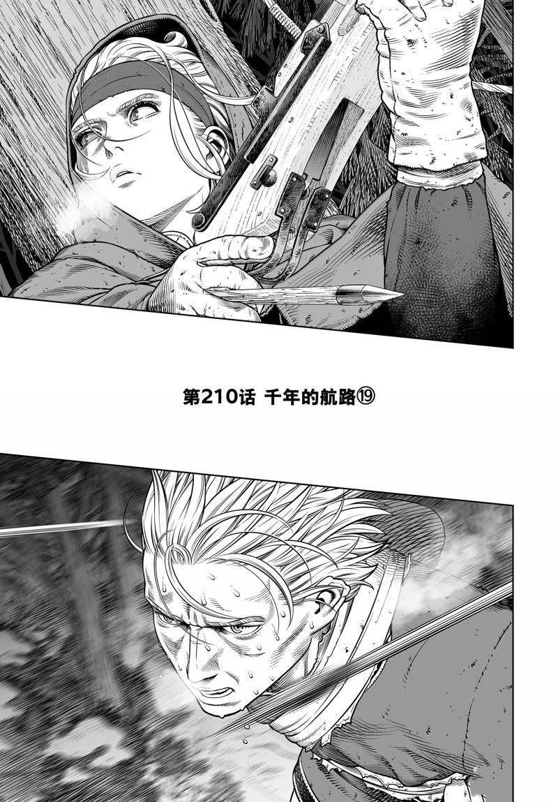 海盗战记动漫原著正版漫画,第210话1图