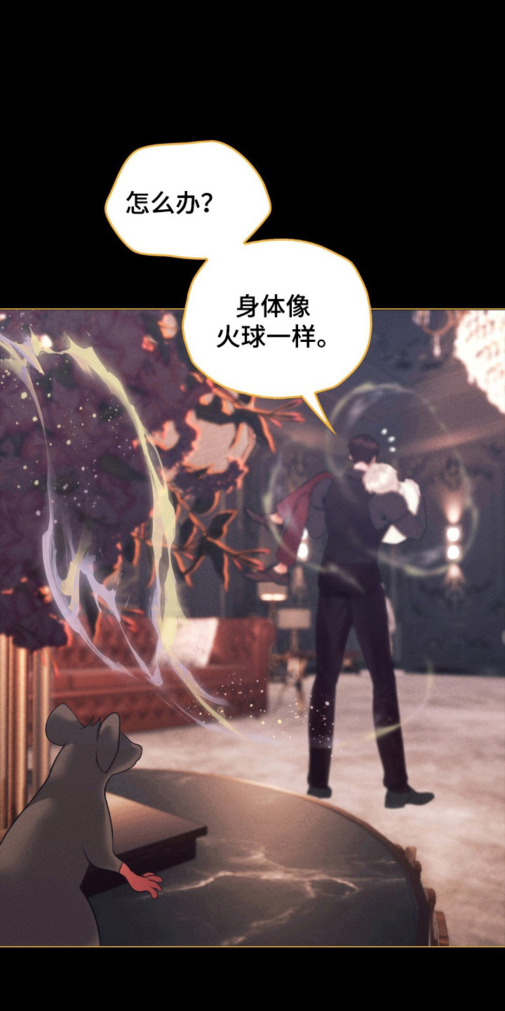 歌剧邪影悬疑韩漫漫画,第81话1图