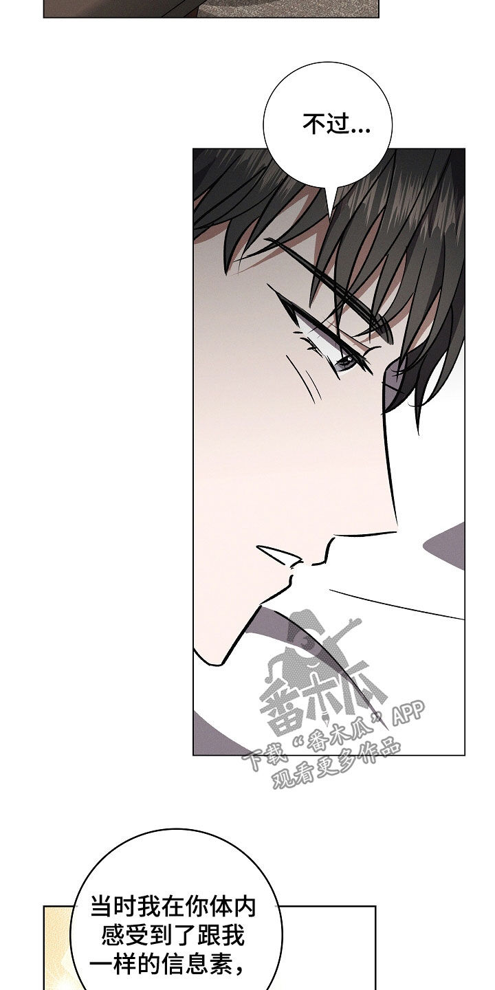 我的太子妃是个男人免费阅读小说漫画,第106话5图