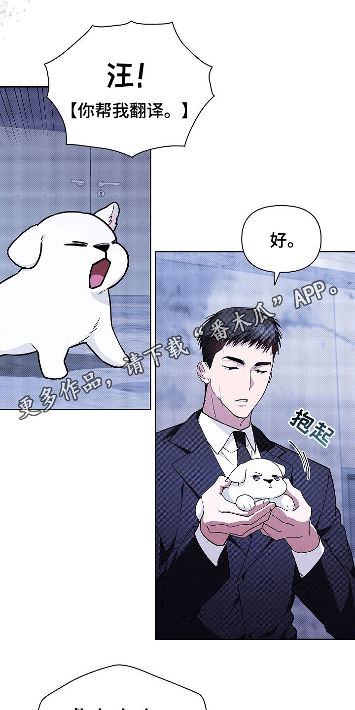 小白狗奇遇记19章漫画,第45话1图