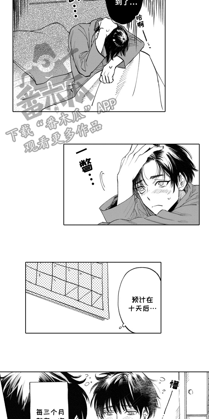 一只狼的故事视频漫画,第3话2图