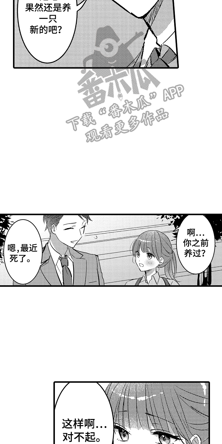 我想当你的鞋土味情话漫画,第2话4图