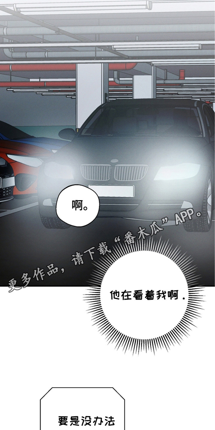 我与秦衍指腹为婚漫画,第9话5图