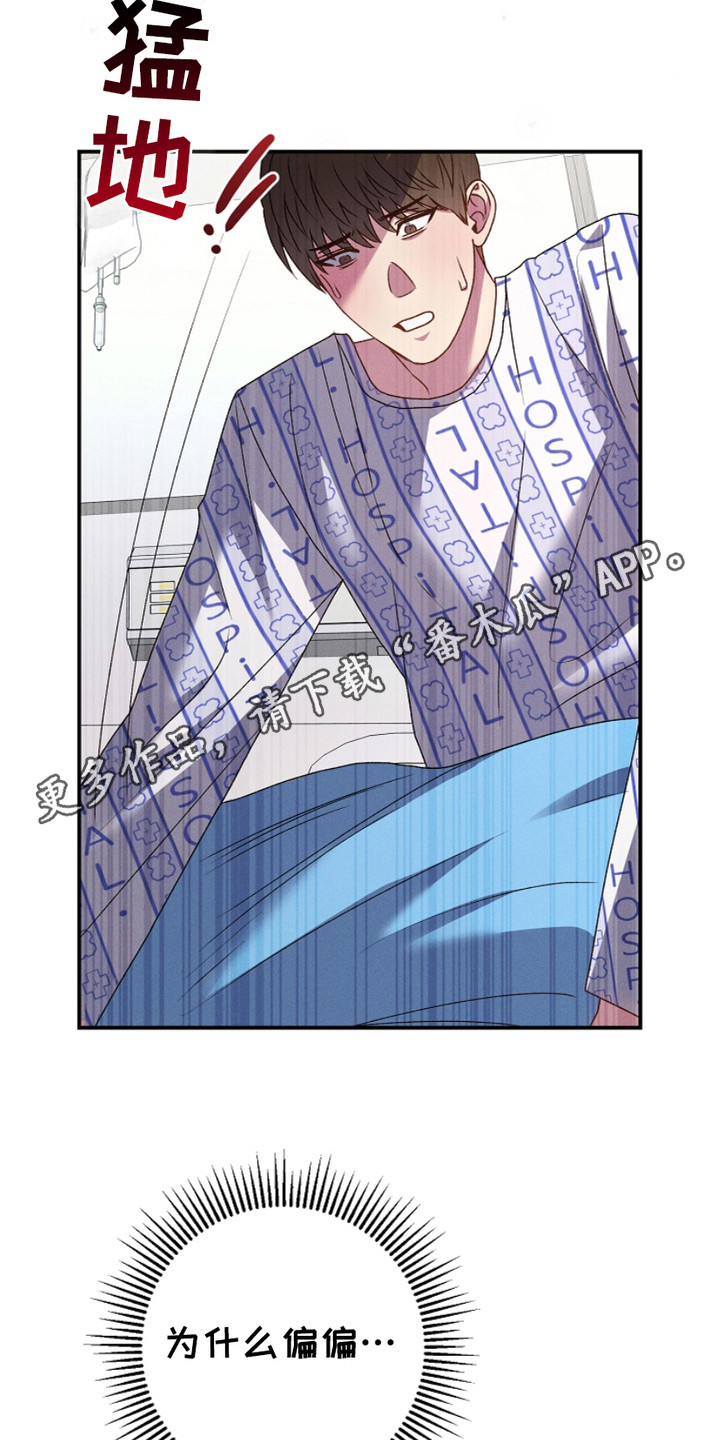 指腹为婚总裁的隐婚新娘免费阅读漫画,第3话5图