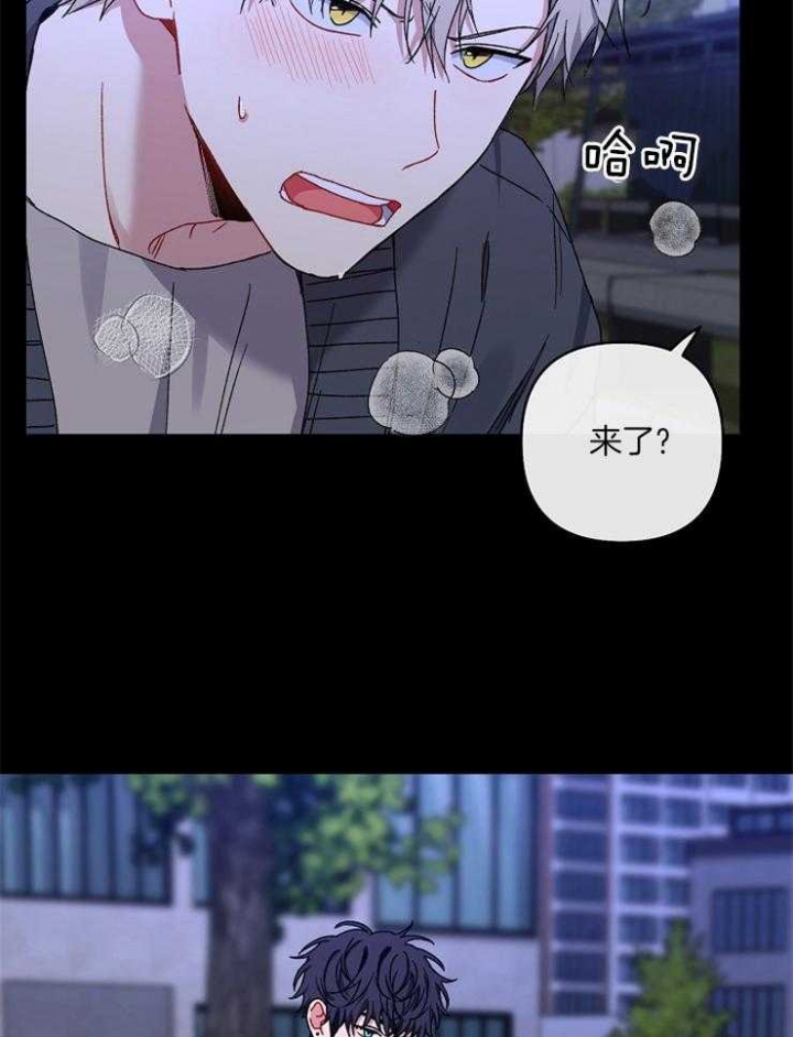 kiss韩国mv漫画,第49话1图