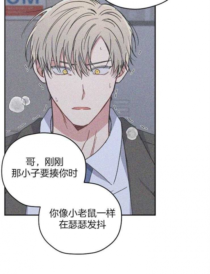 kiss定律第二季出了吗漫画,第78话5图