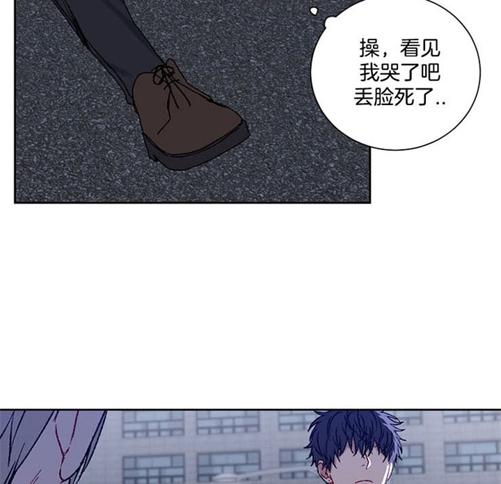 kiss定律中蓝毛出场太少了吧漫画,第25话4图