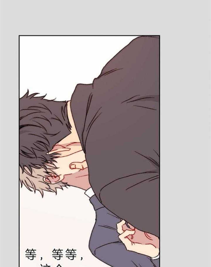 kiss定律怎么不更新了呢漫画,第37话1图