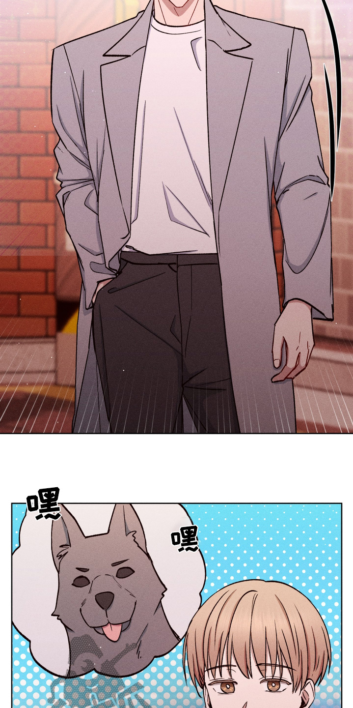 临时搭档txt百度云下载漫画,第120话3图