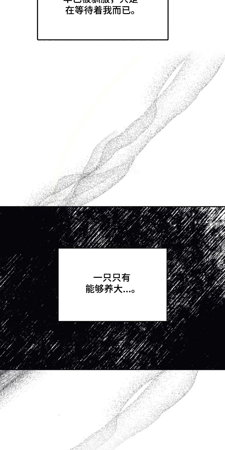 黑夫人心情郁闷 漫画漫画,第51话3图