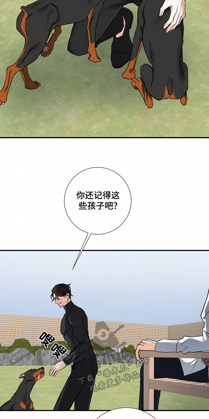 狩猎之夜凶手是谁大结局漫画,第42话4图