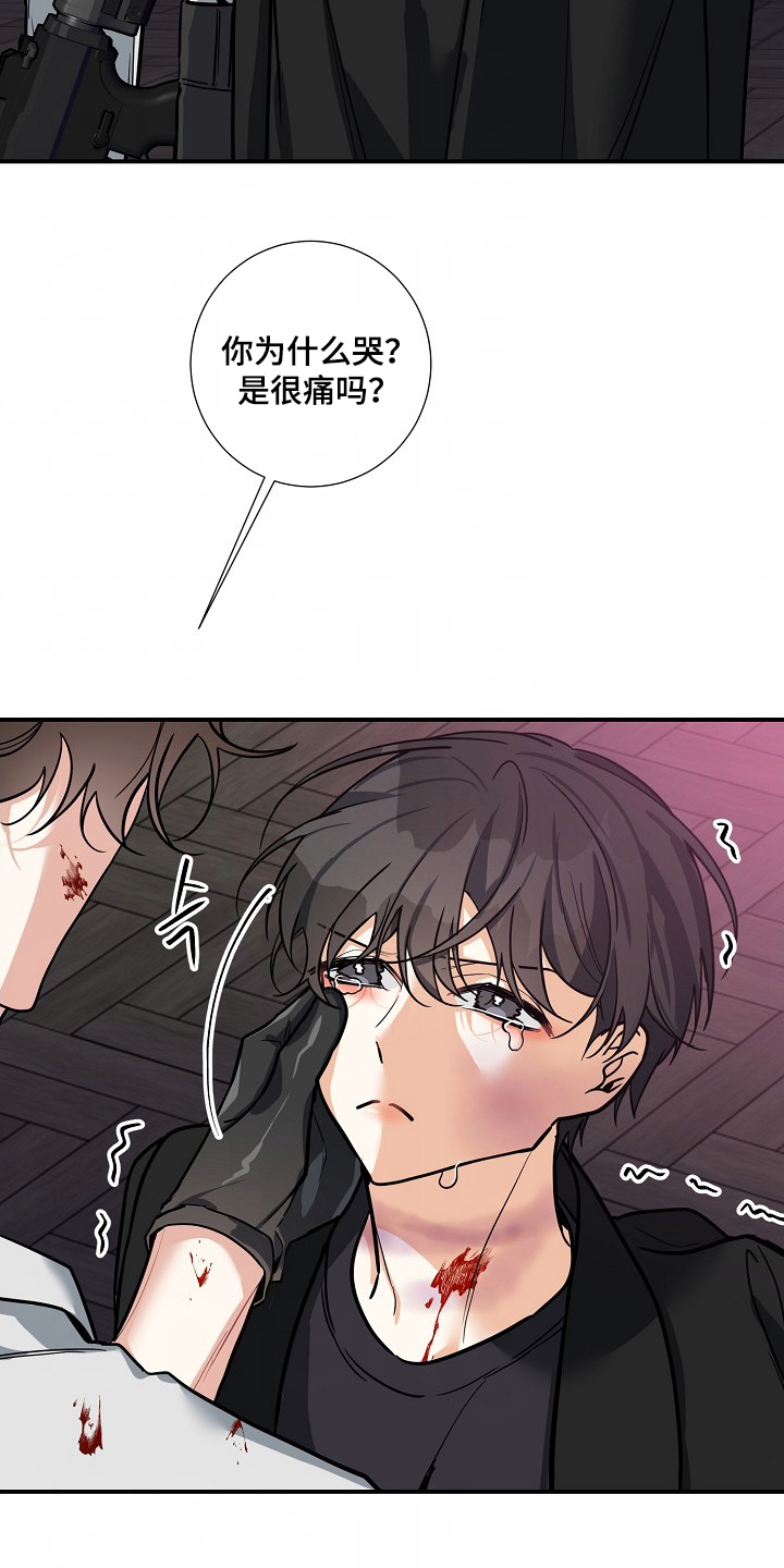 狩猎之夜女主角漫画,第49话5图