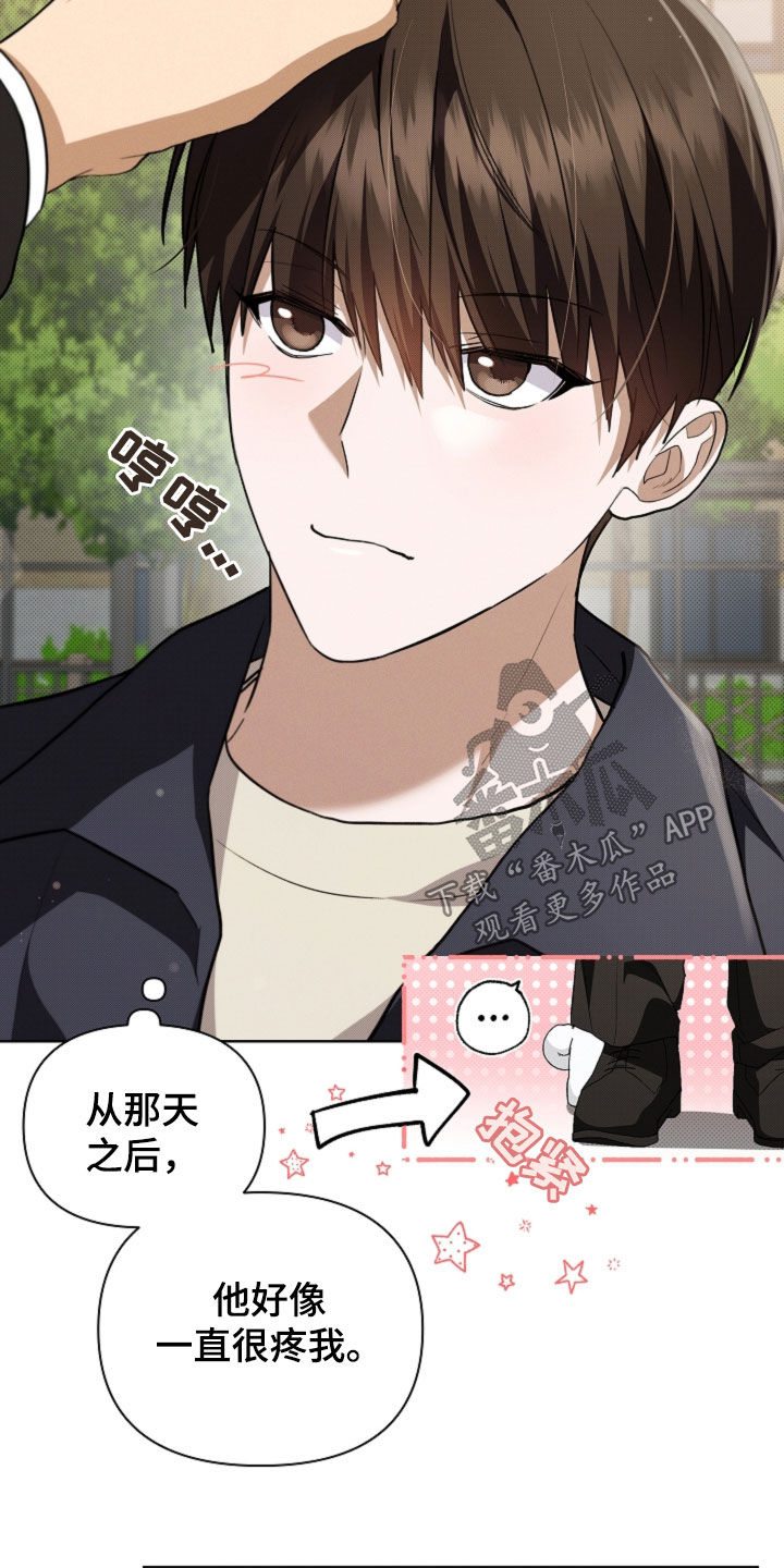 小白狗奇遇记小说在线阅读无弹窗漫画,第56话3图