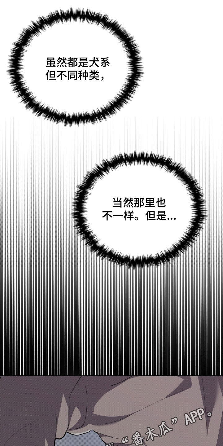 小白狗起名字漫画,第59话1图