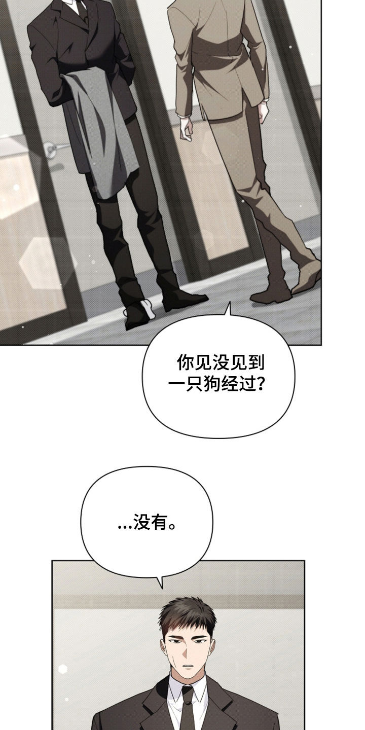 小白狗奇遇记25集漫画,第52话2图