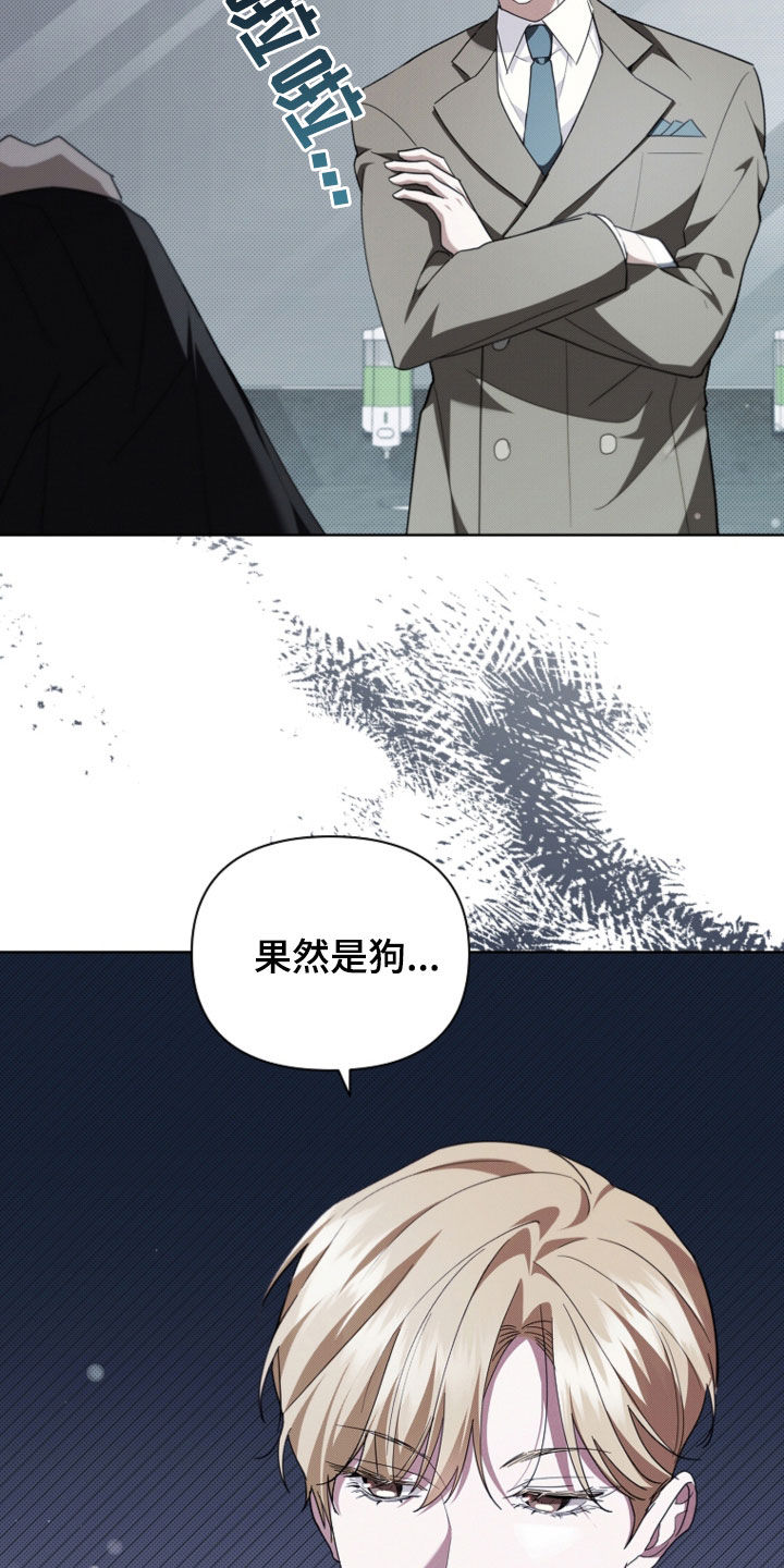 小白狗奇遇记漫画免费观看全文高清版漫画,第51话5图