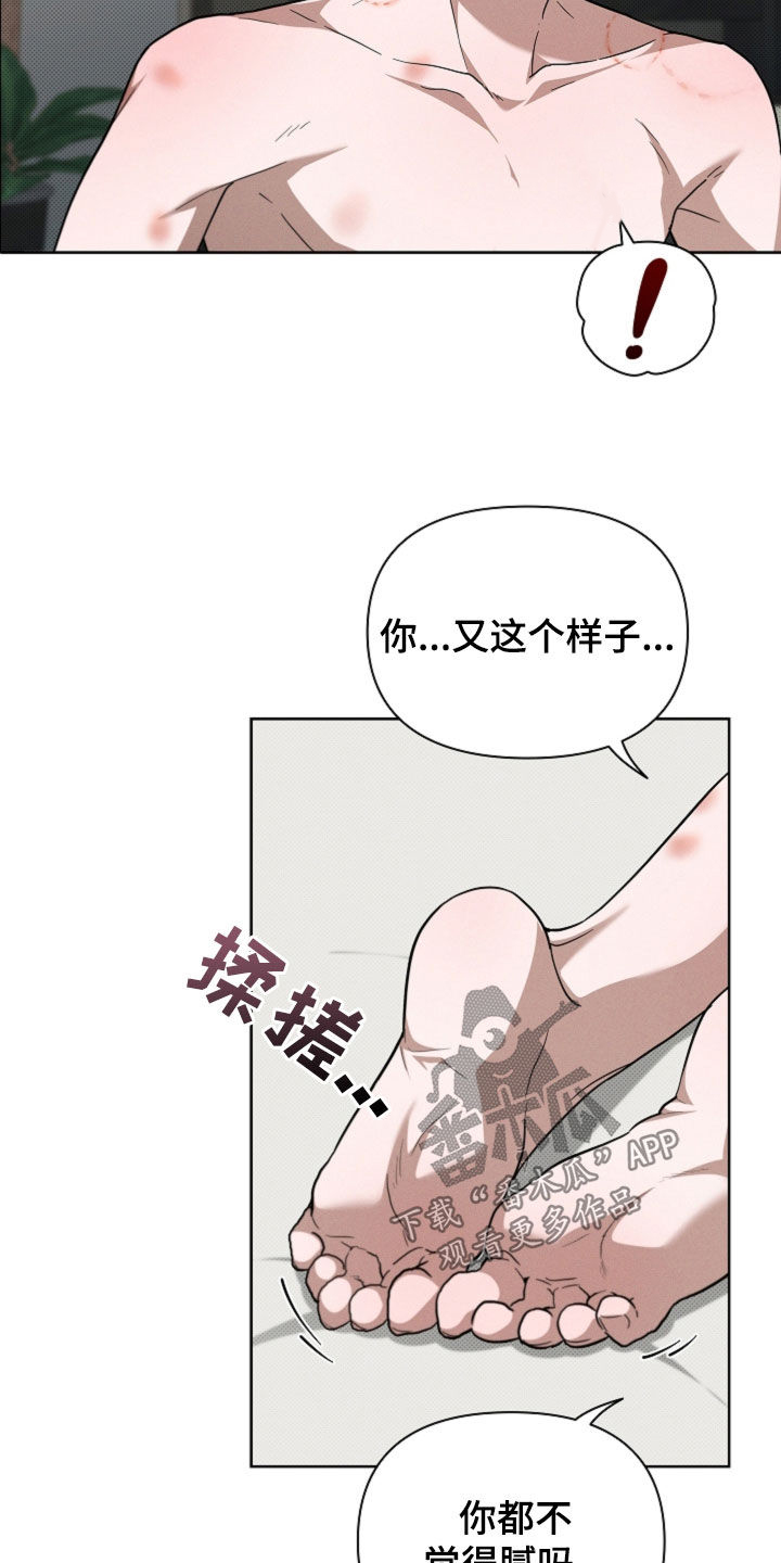 小白狗奇遇记漫画免费观看下拉式漫画斗罗大陆漫画,第62话5图
