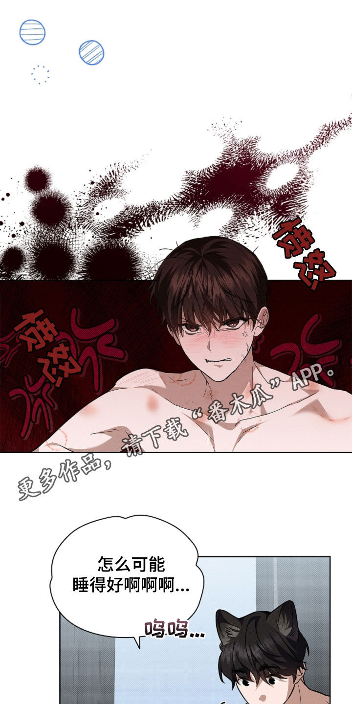 小白狗奇遇记漫画免费观看下拉式漫画斗罗大陆漫画,第62话1图
