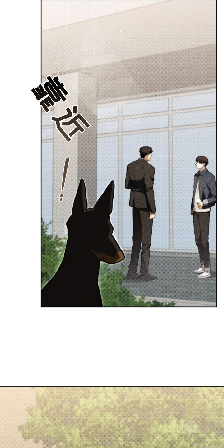 小白狗奇遇记小说在线阅读无弹窗漫画,第56话4图