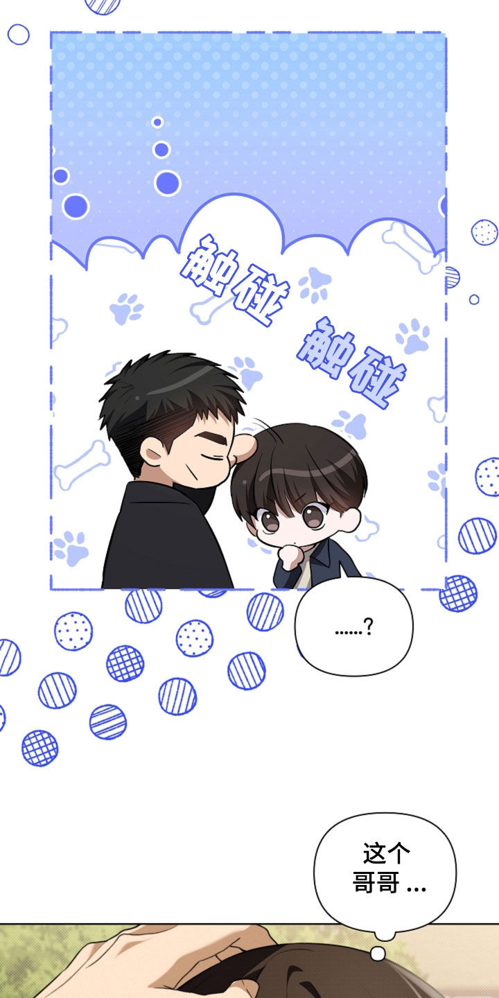 小白狗奇遇记小说在线阅读无弹窗漫画,第56话2图
