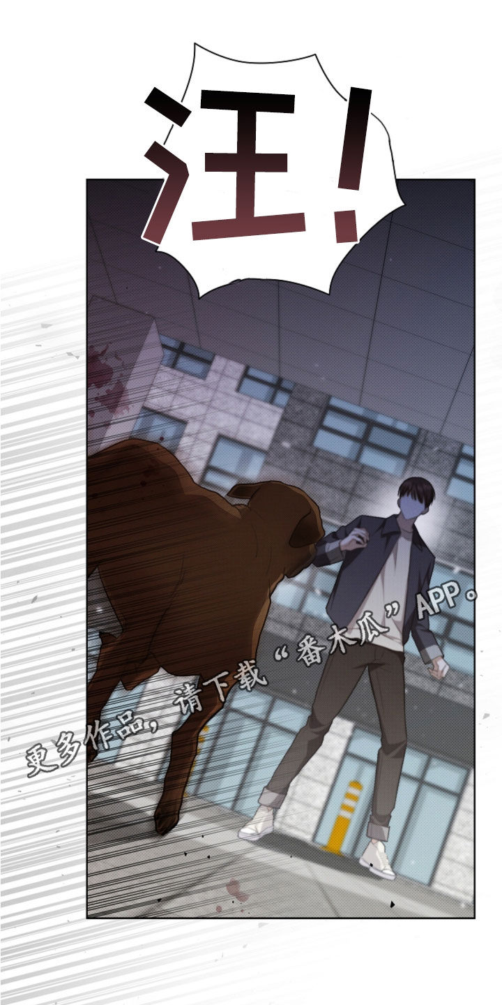 小白狗奇遇记小说全文漫画,第57话1图
