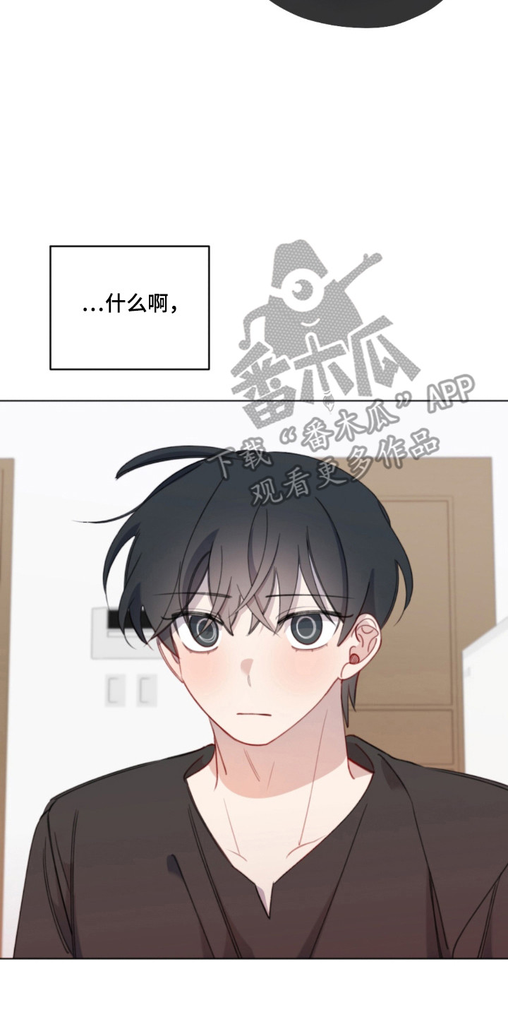 寻找中共中央的八项规定的原文漫画,第22话2图