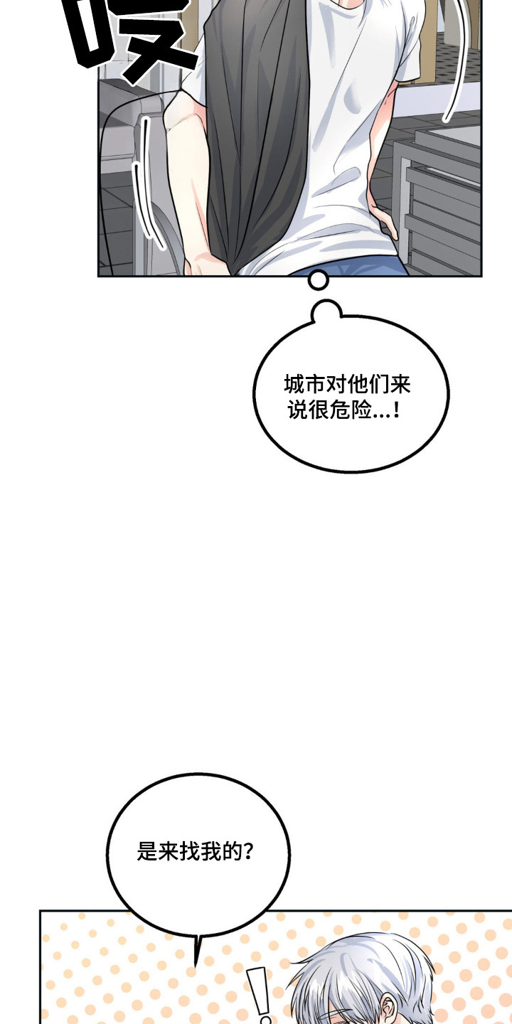 森林狼的全称漫画,第16话3图
