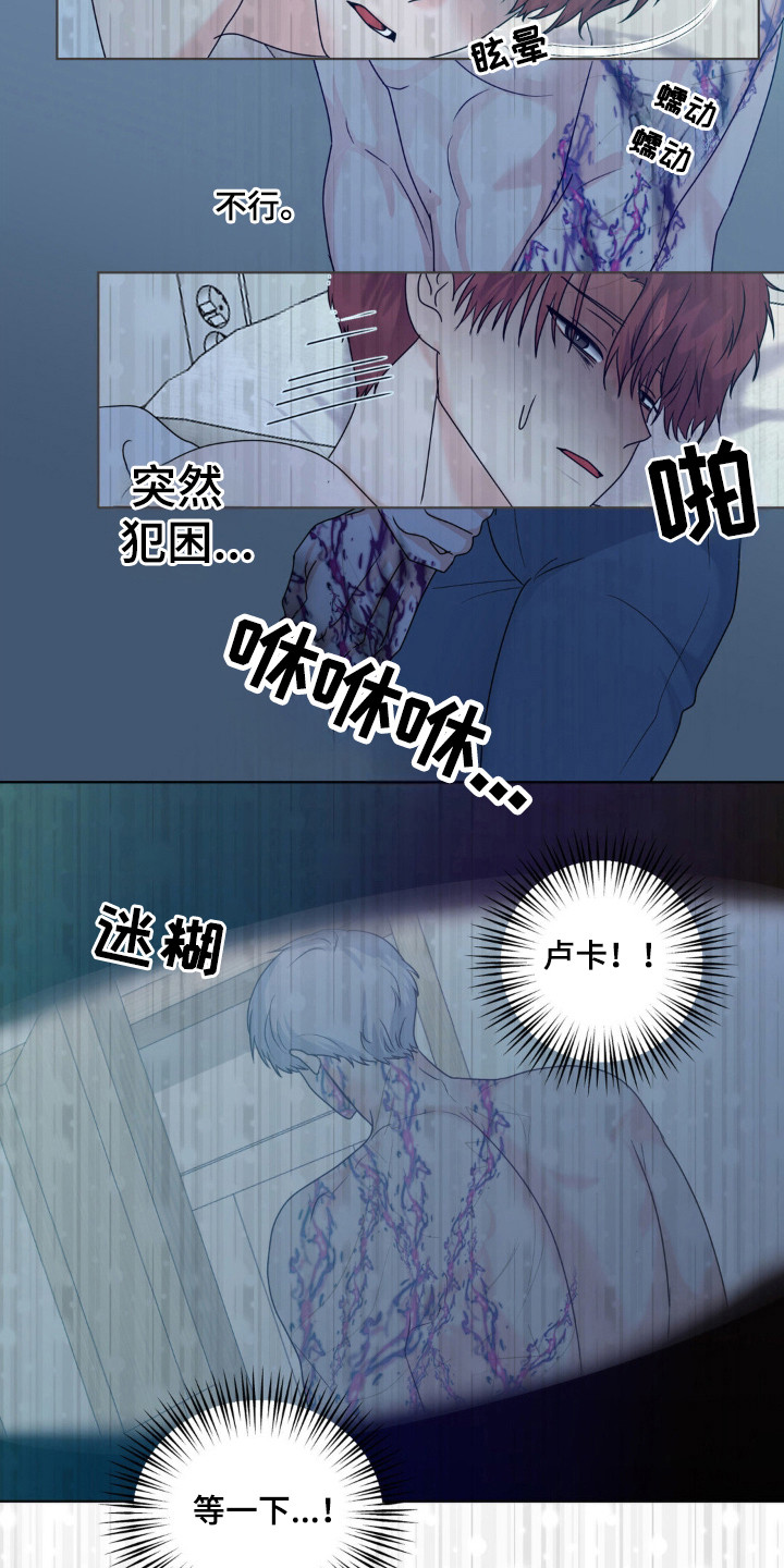 森林狼的抖音号漫画,第24话4图