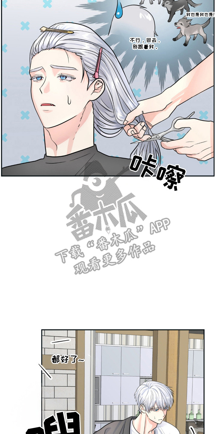 森林狼的全称漫画,第16话2图