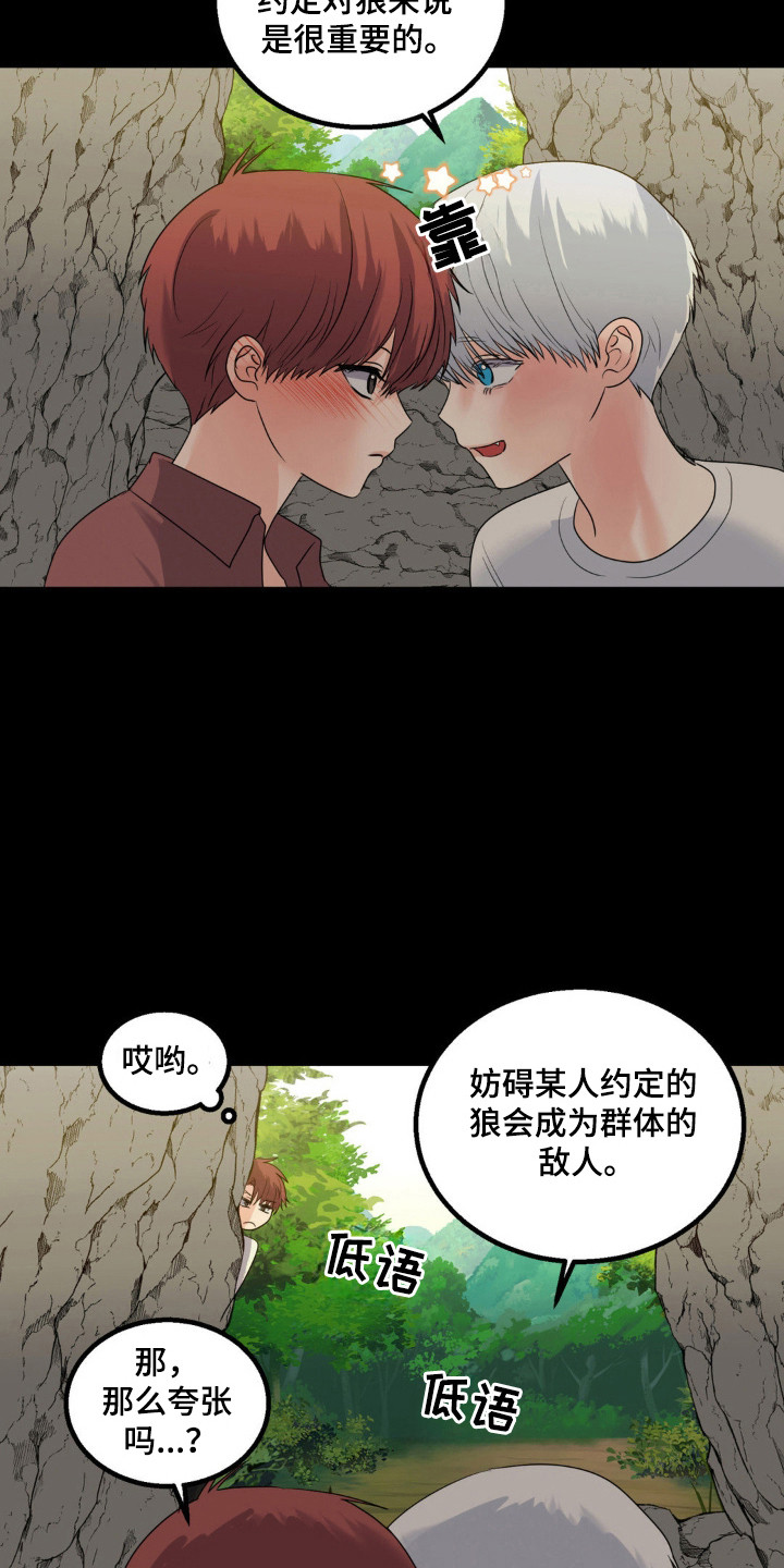 森林狼的老板格伦泰勒漫画,第25话3图