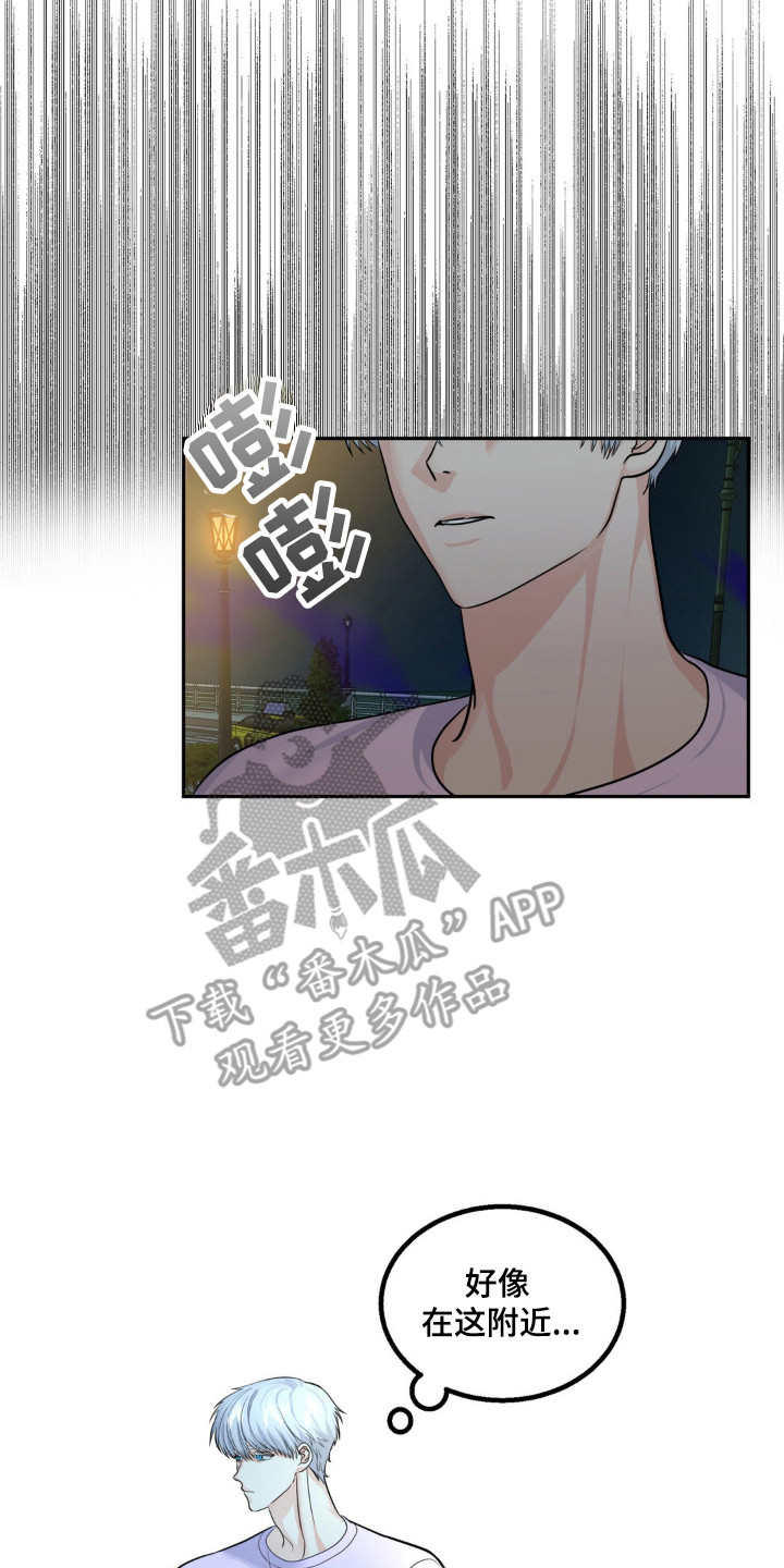 森林狼的最新消息漫画,第17话2图