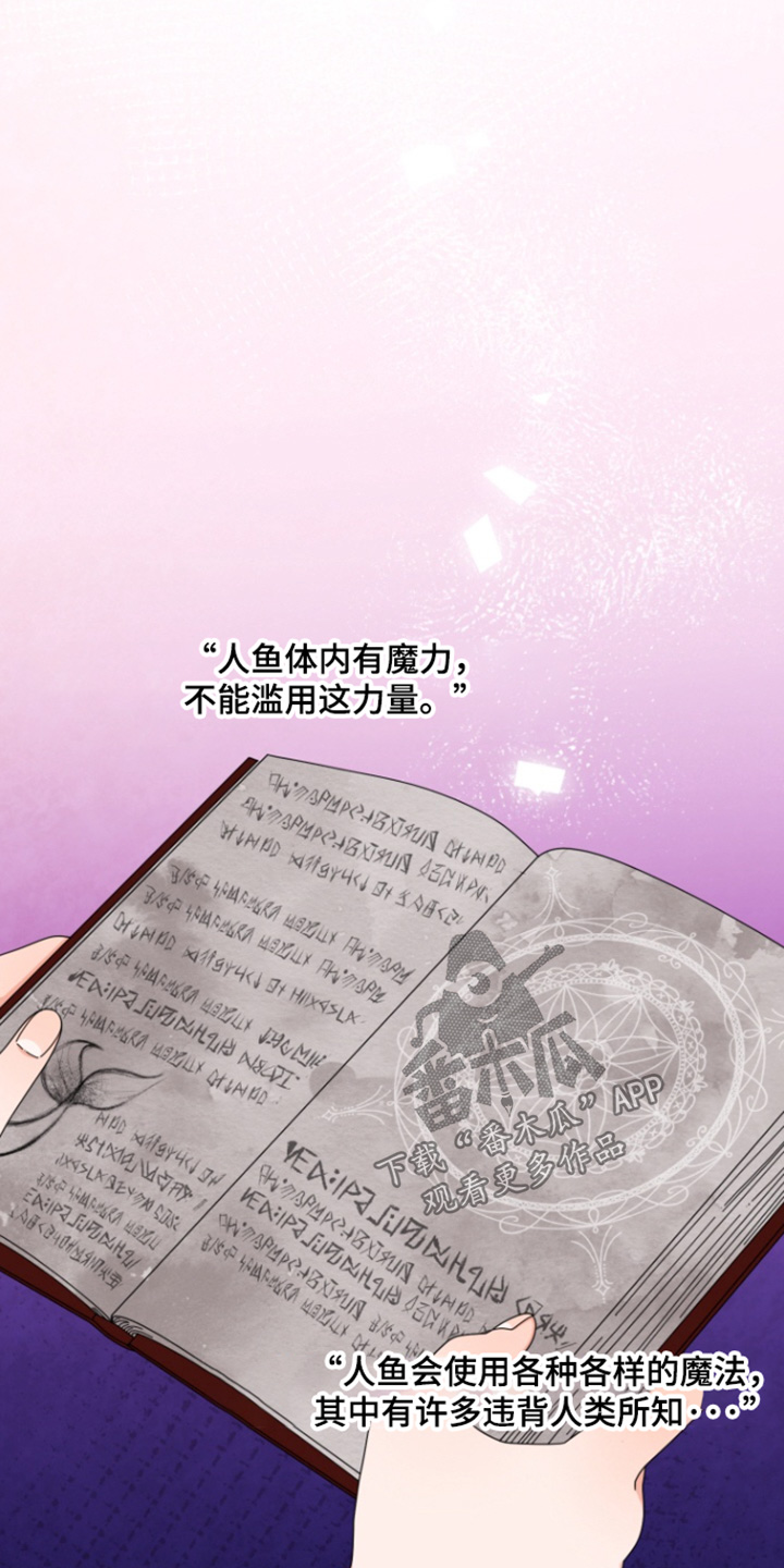 美人鱼的夏天动画免费观看漫画,第29话4图