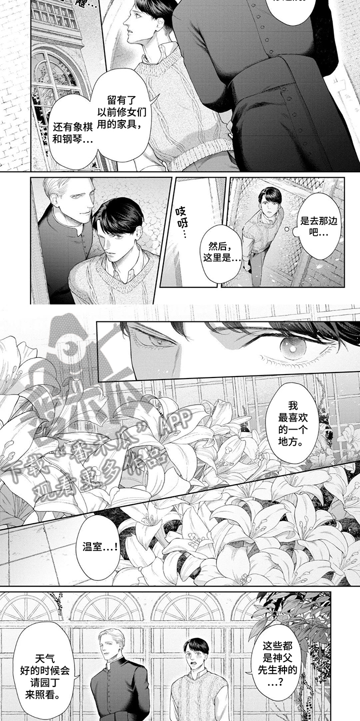 洛克兰属于什么档次漫画,第5话2图
