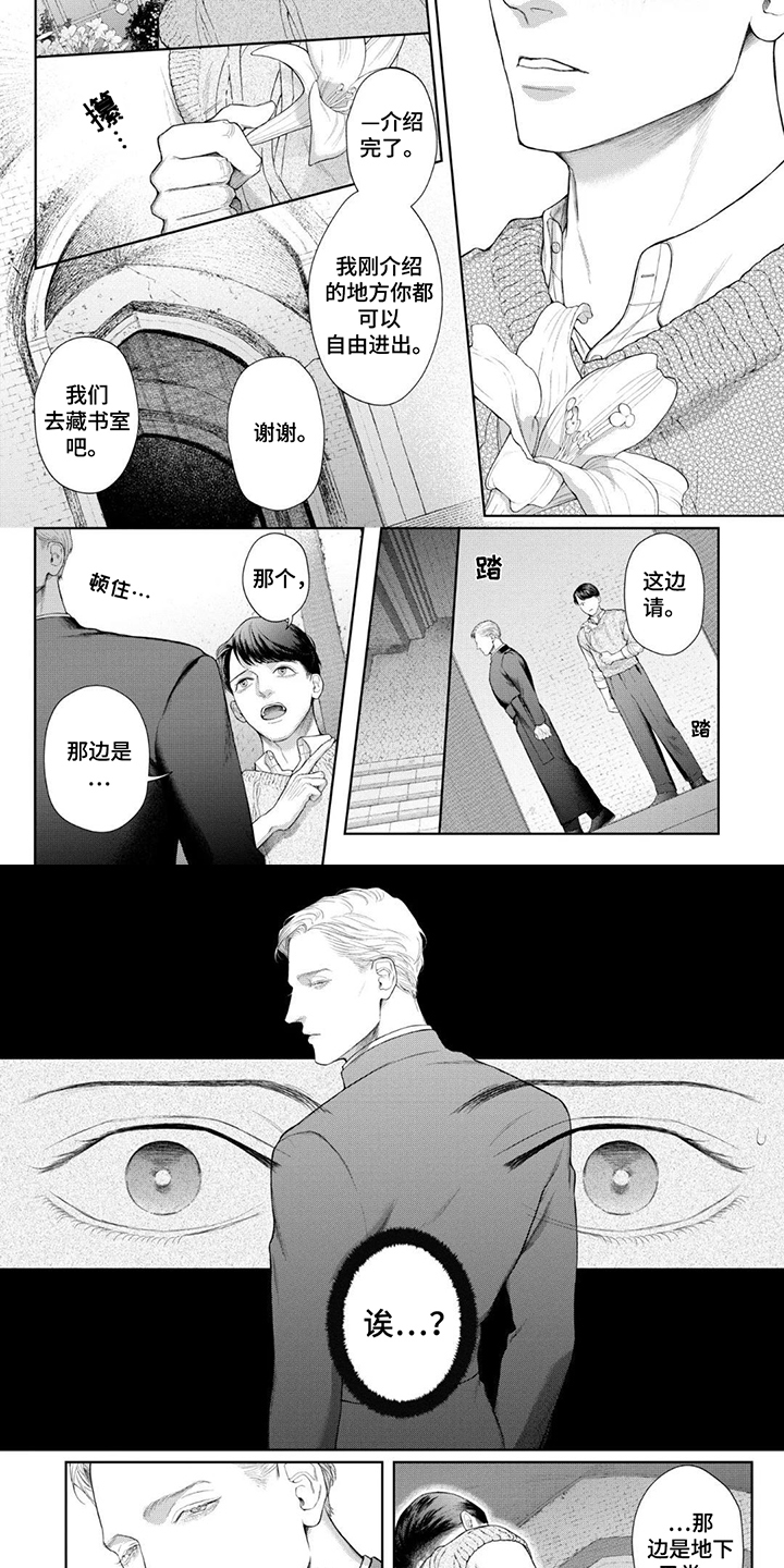 洛克兰属于什么档次漫画,第5话4图