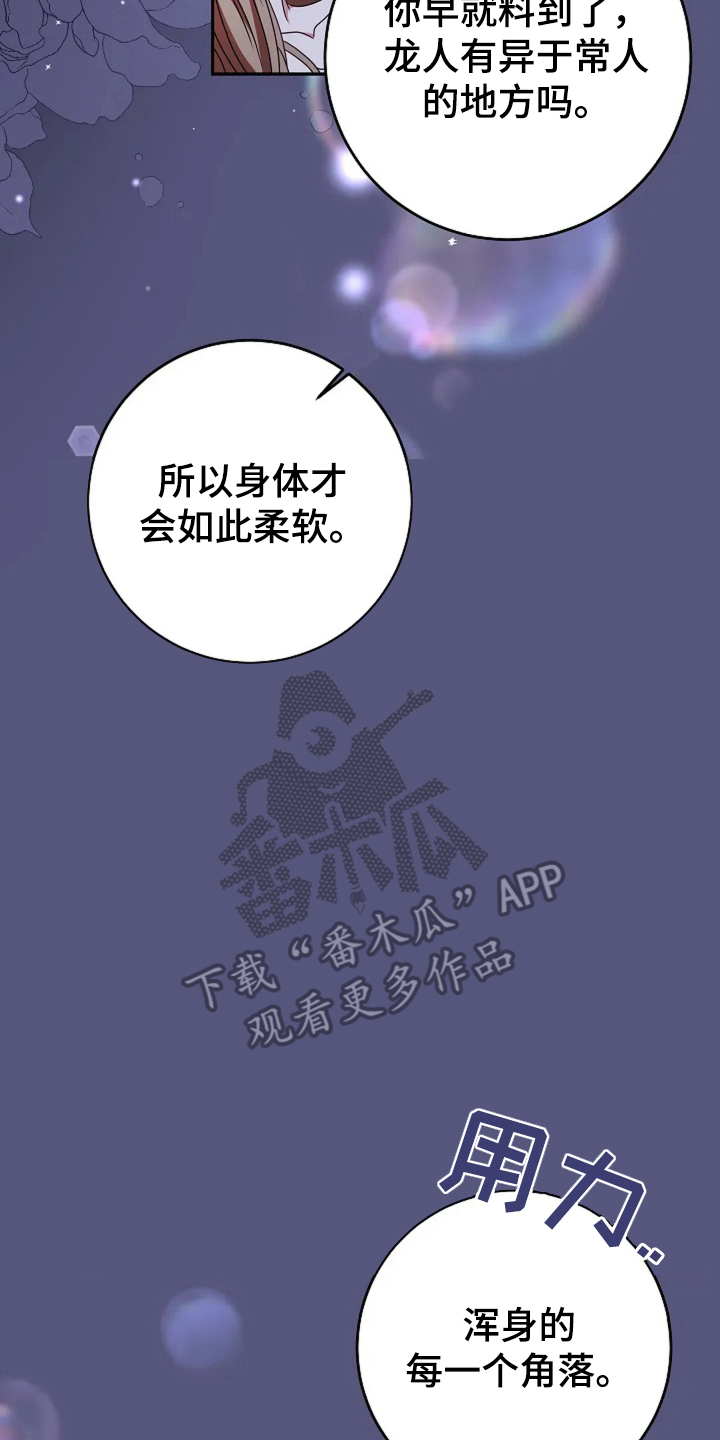 公爵的契约 小说漫画,第1话3图