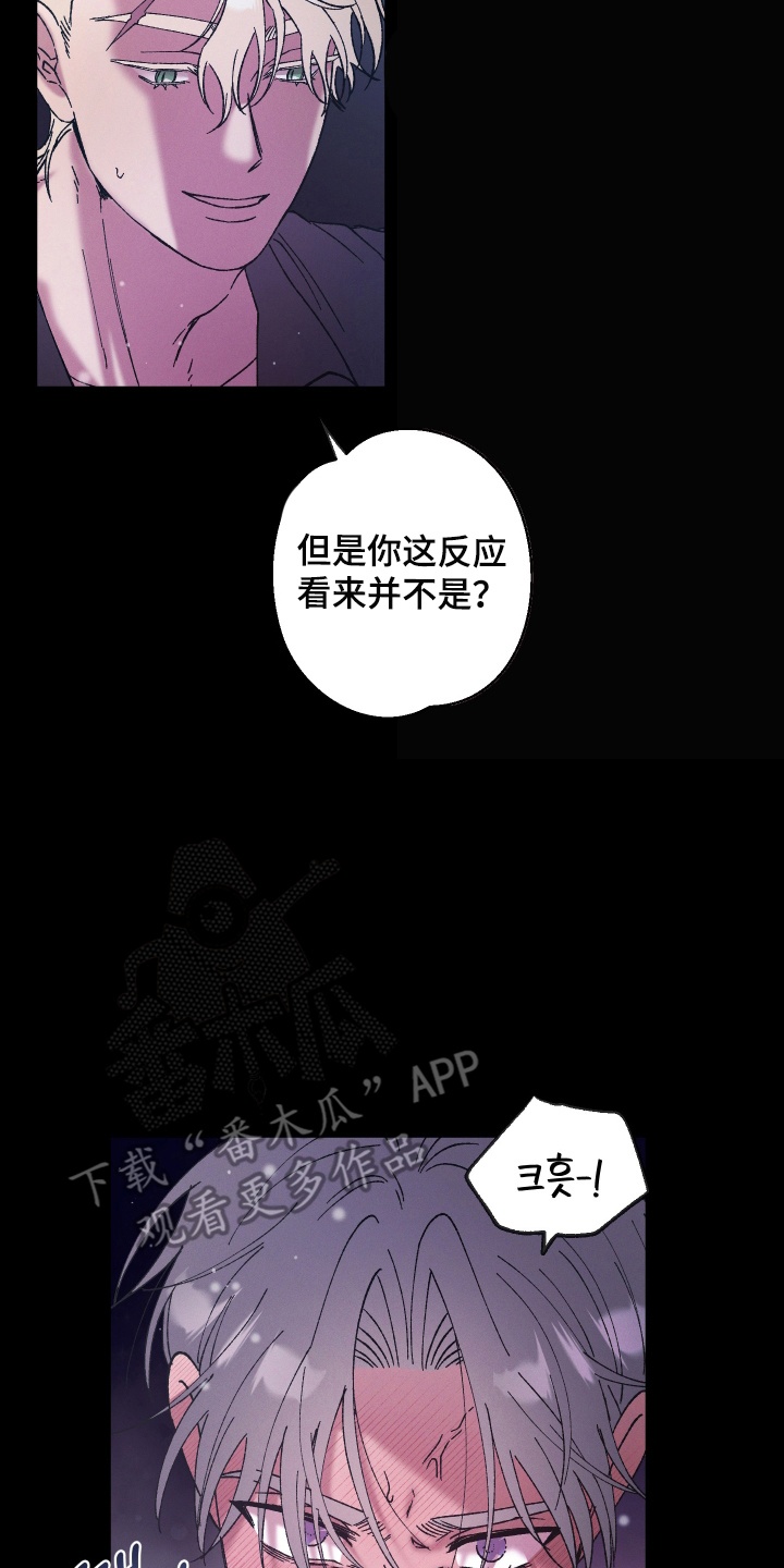 恶魔的果实漫画漫画,第5话3图