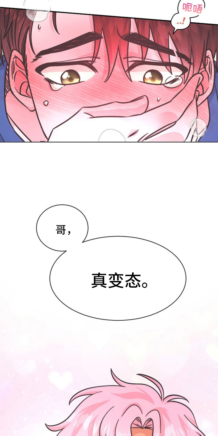 我的爱豆英文翻译漫画,第14话3图