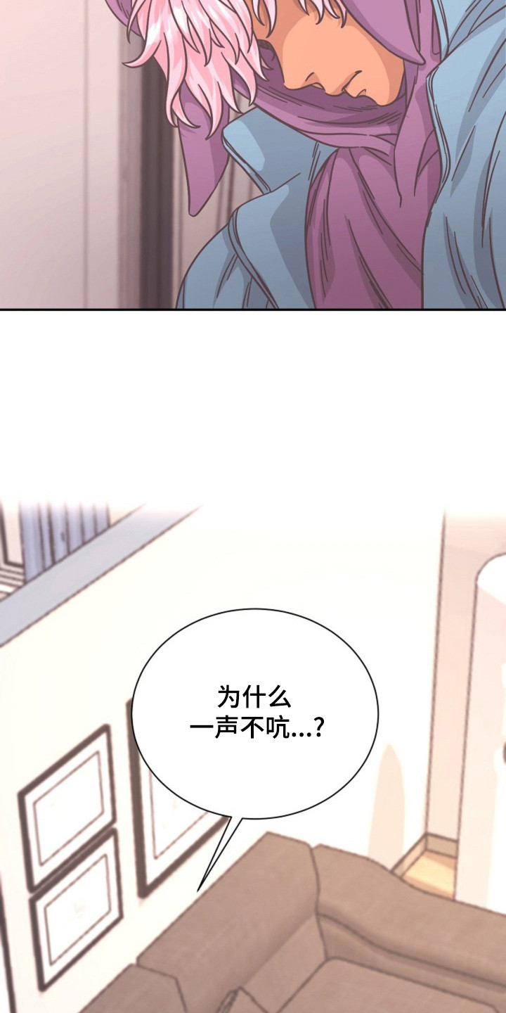 我的爱豆弟弟漫画免费阅读漫画,第21话5图