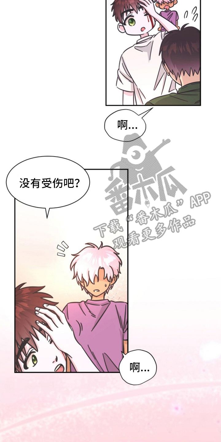 我的爱豆在哪里漫画,第8话2图
