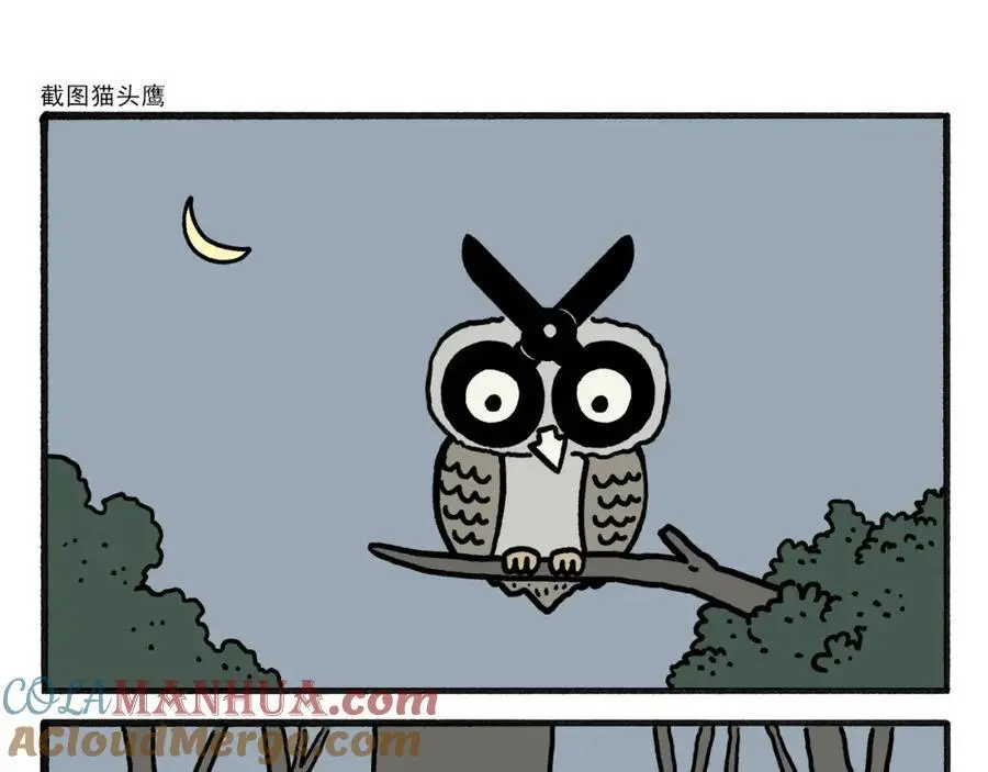 绘心绘色健康成长文字内容漫画,第464话 根本看不完5图