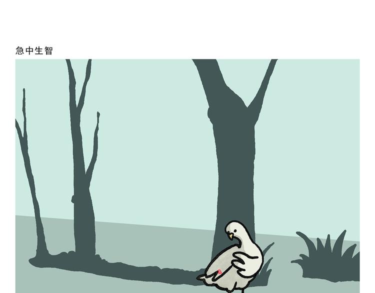 绘心一笑知乎漫画,第336话 紧急避险4图
