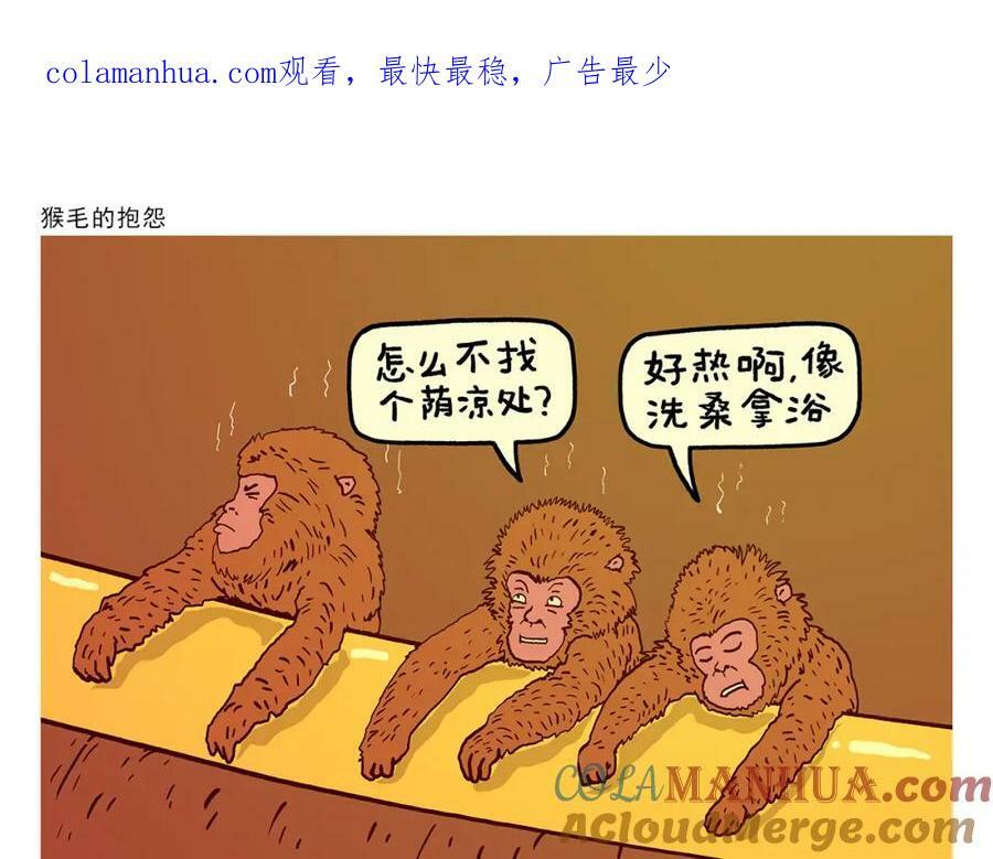 绘心甚八高清原图漫画,第433话 猴毛的抱怨1图