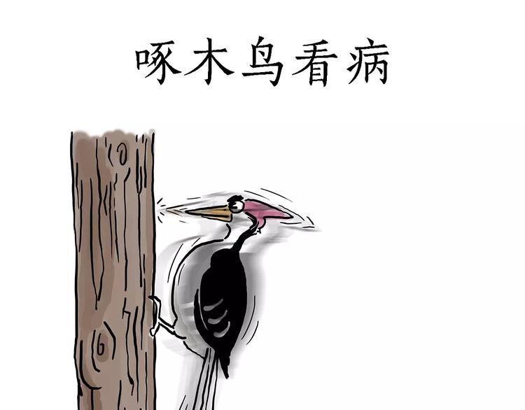彗新易校漫画,啄木鸟看病3图