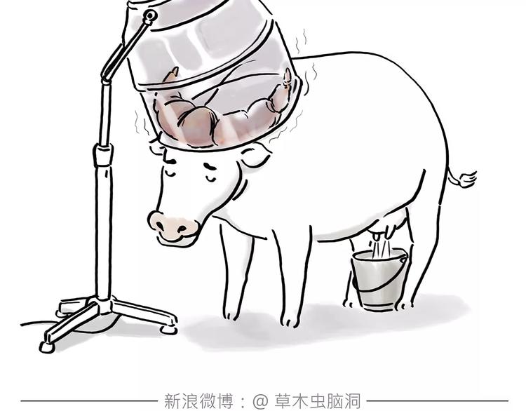 绘心连载过哪些漫画漫画,第165话 暖暖的熊5图