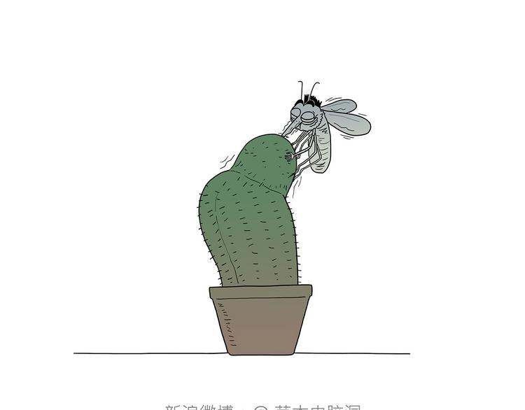 绘心中英雄漫画,抓娃娃5图
