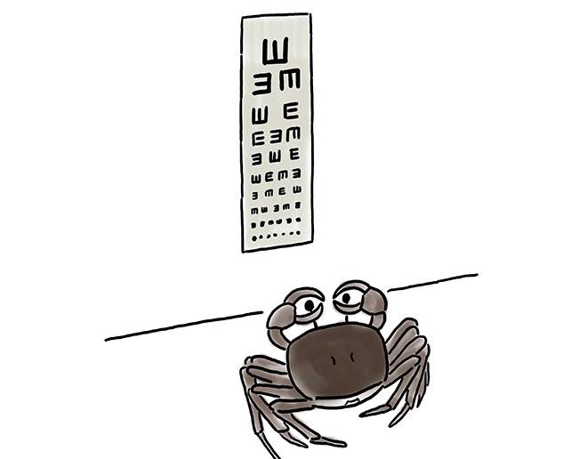 慧心一笑漫画,师傅的庆功宴5图