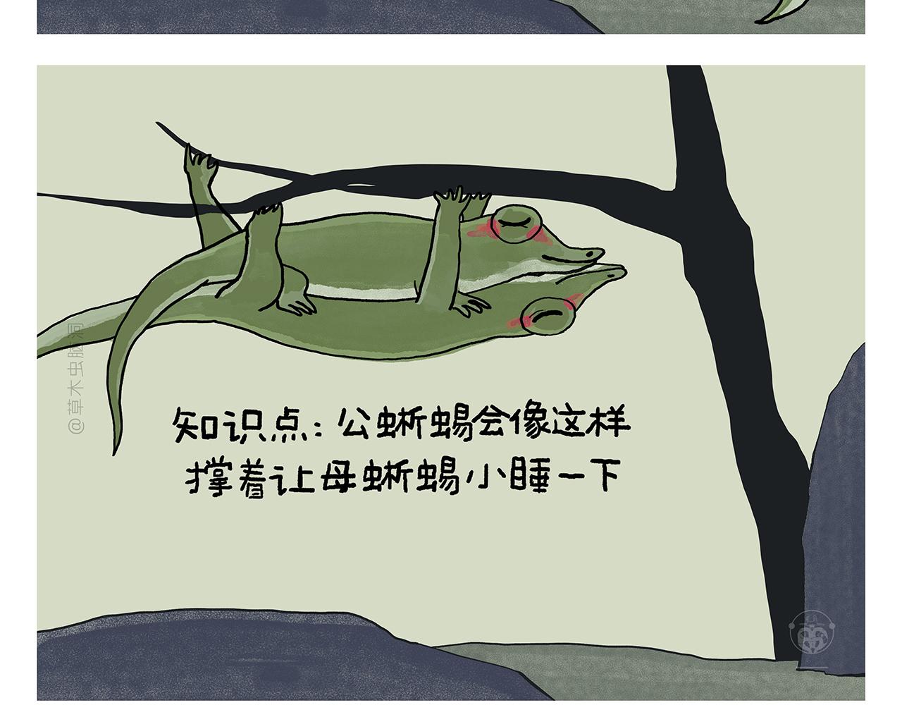 绘心文梦含义漫画,第394话 一路跟拍5图