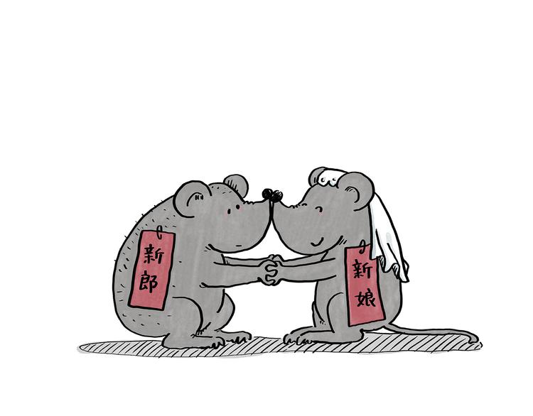 慧新易校电脑版下载漫画,第185话 大猪蹄子5图