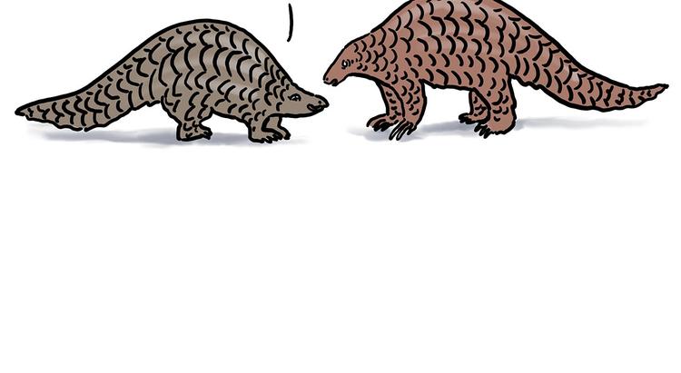 绘心甚八原画漫画,保护八戒5图