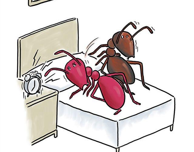 彗新易校漫画,师傅搞怪4图
